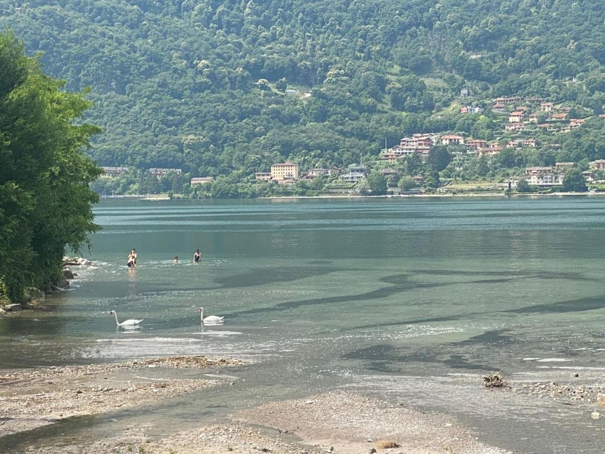 Villa The Swan - Composed By 2 Apartments Mandello del Lario Exterior foto